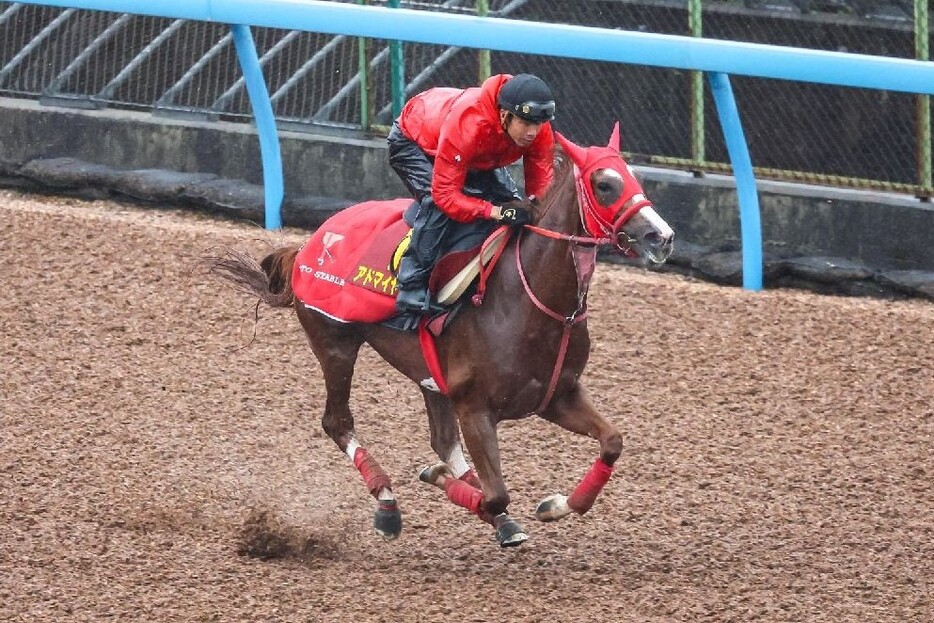 稽古内容からも夏を越しての成長が感じられるアドマイヤベル