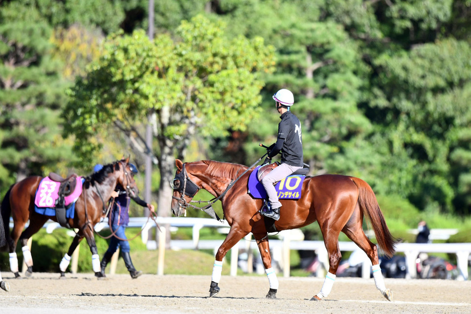 ダービー馬ダノンデサイルは２枠４番