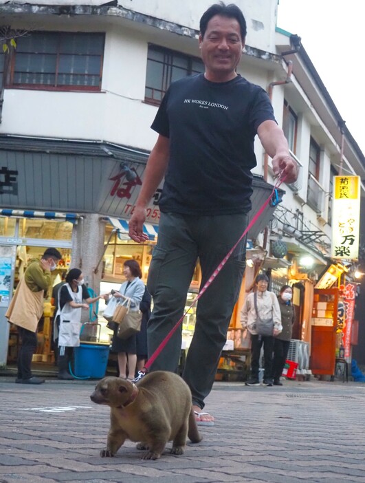 糸川沿いを歩くキンカジューの「小梅」と小山さん＝熱海市の糸川遊歩道