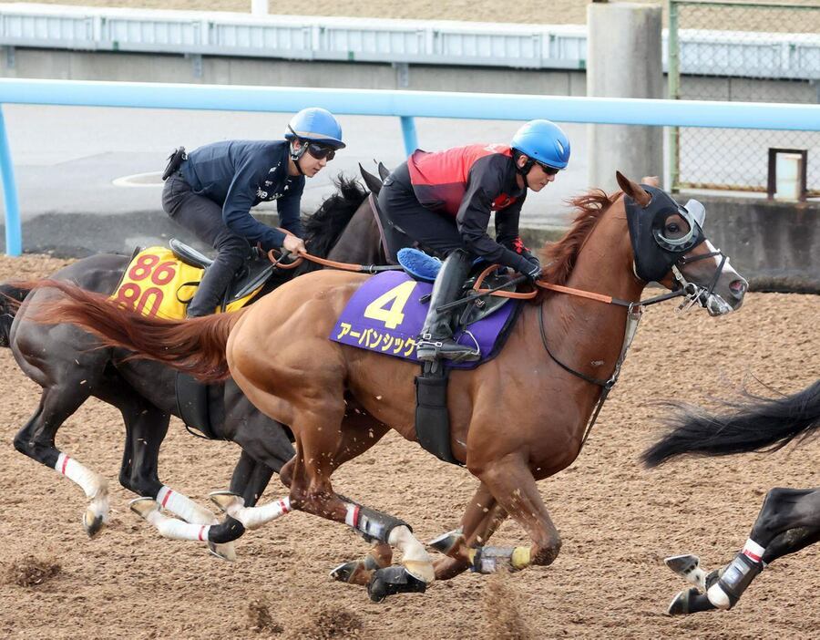 アーバンシック（手前）は馬なりでラスト11秒3とはじけた＝美浦トレセン（撮影・塩浦孝明）