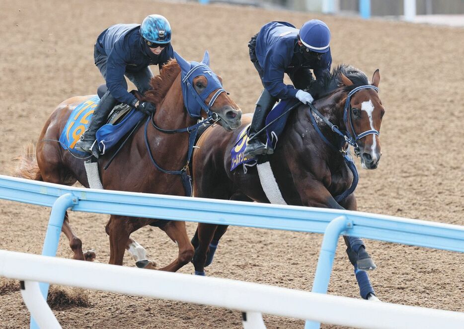 嶋田を背にウッドチップコースでツルマウカタチと併せて追われるソールオリエンス（右）