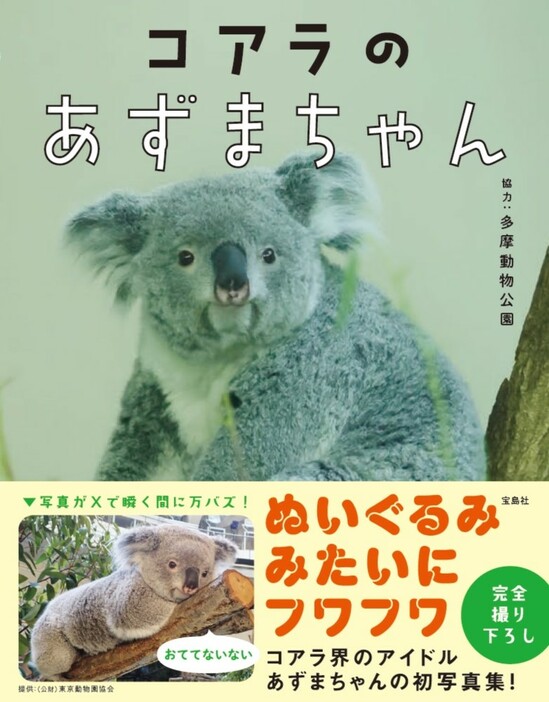 協力:多摩動物公園