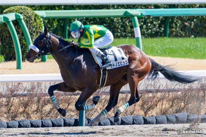 東京ダービーは2着だったサトノエピック