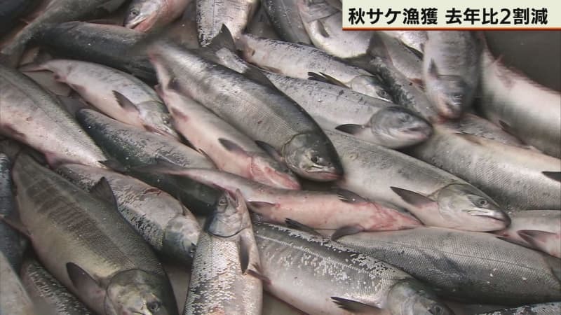 （写真：テレビ北海道）