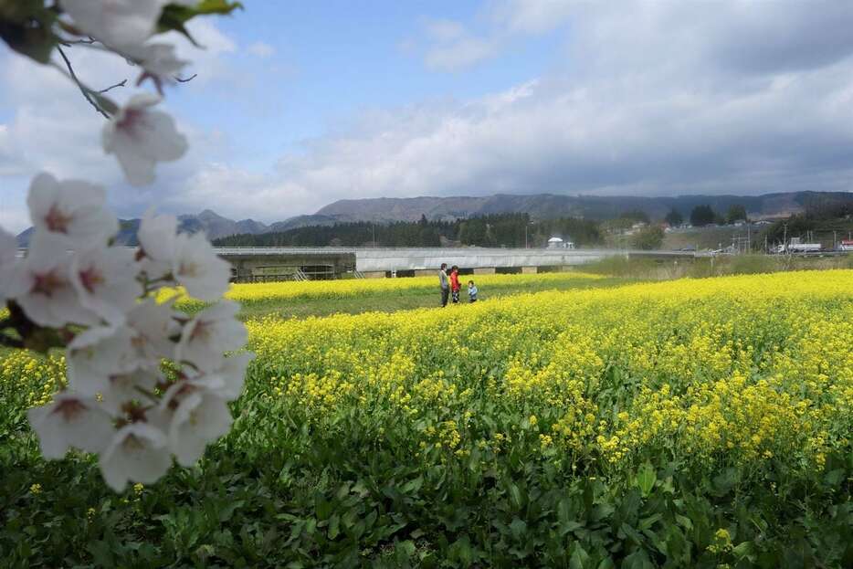 鳴子温泉郷の風景。背後の山の尾根沿いに大規模風力発電計画が進んでいた＝令和4年、宮城県大崎市