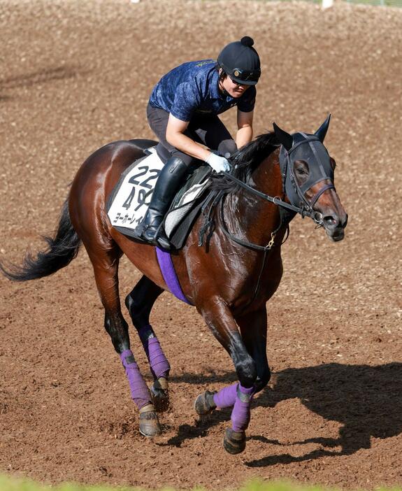 　鳴尾記念に続く重賞連勝を目指すヨーホーレイク