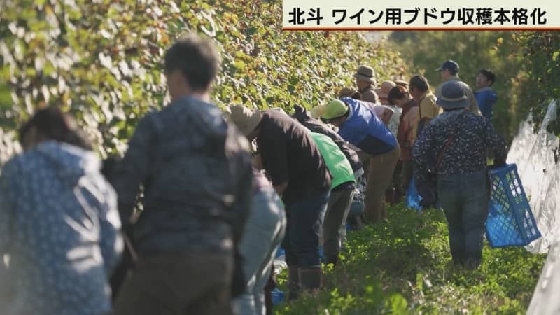 （写真：テレビ北海道）