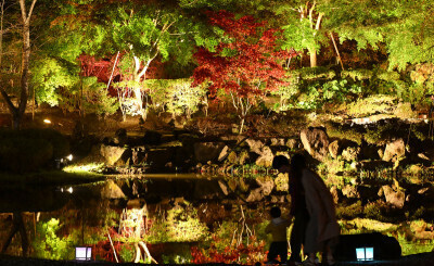 色鮮やかに照らされ、水面にも映る紅葉＝２５日、奥州市江刺岩谷堂・歴史公園えさし藤原の郷