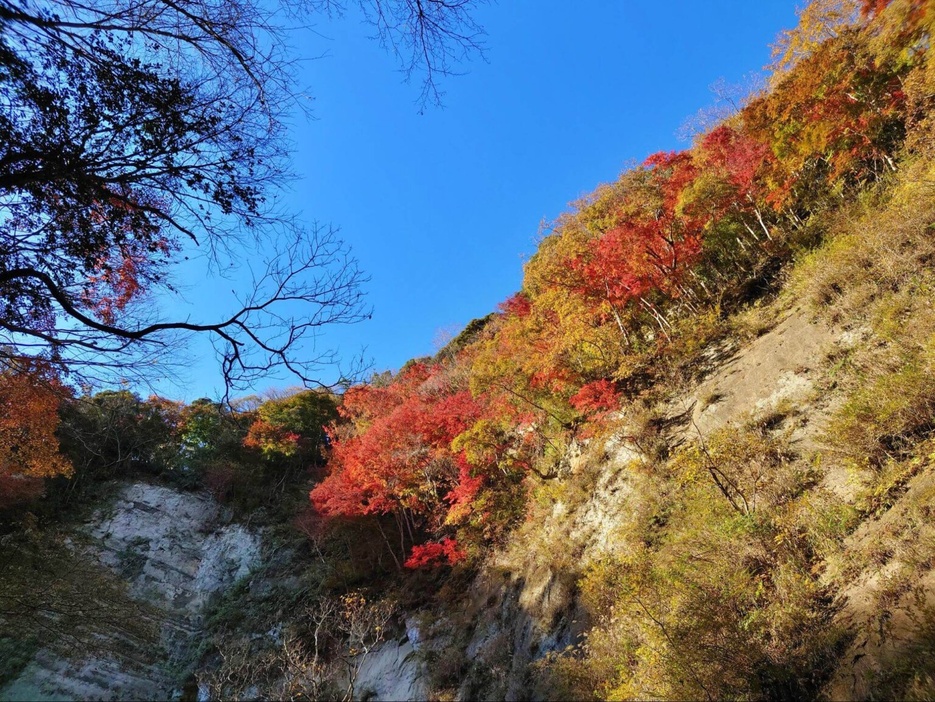 千葉・梅ヶ瀬渓谷