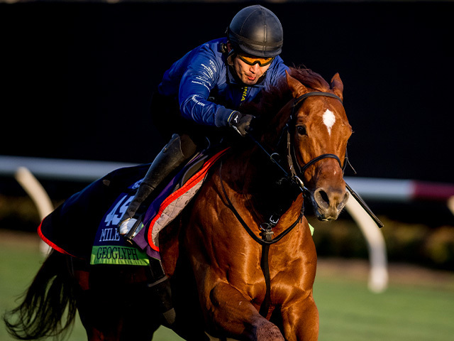 現地で調整するジオグリフ Eclipse Sportswire / Breeders' Cup Photos(c)