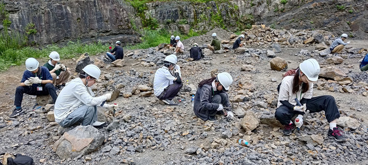 古生物学を学ぶ学生が全国から集う夏場が発掘作業の最盛期（福井県立大学提供）