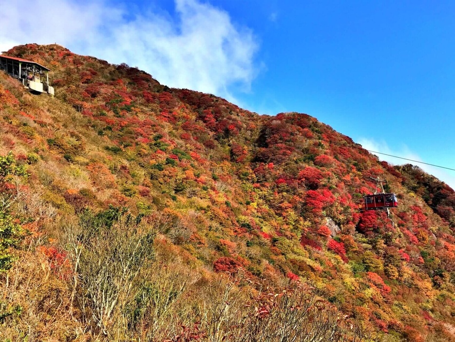 長崎・妙見岳