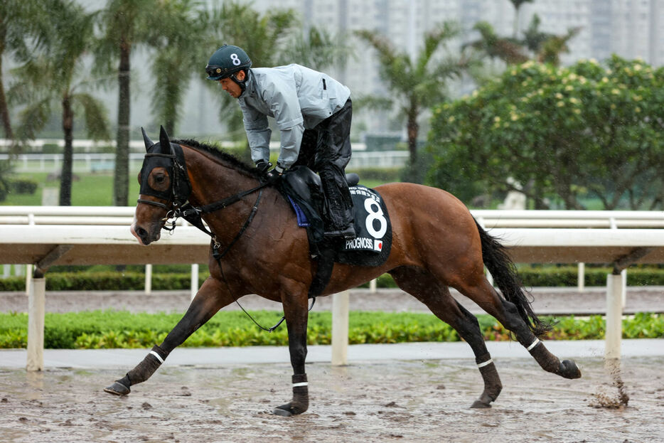 プログノーシス (C)The Hong Kong Jockey Club