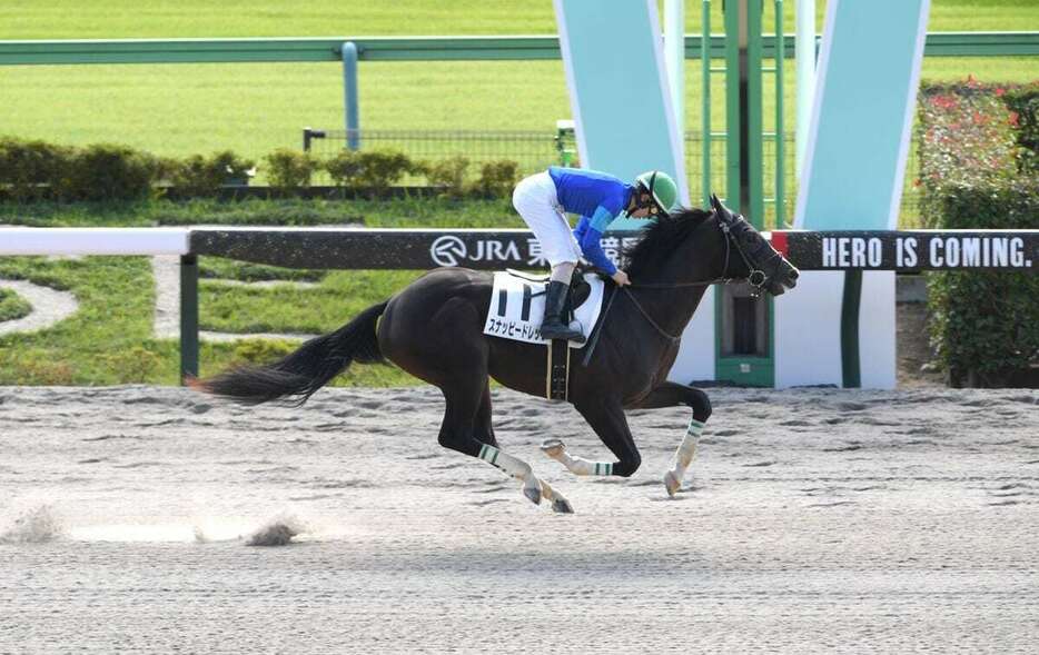 デビュー戦を大差勝ちで飾ったスナッピードレッサ＝東京競馬場（撮影・奈良武）