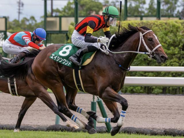 小倉2歳Sを制したエイシンワンド(今年9月撮影、ユーザー提供：さめさん)