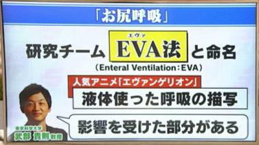 人気アニメ「エヴァンゲリオン」の影響から“EVA法”に？