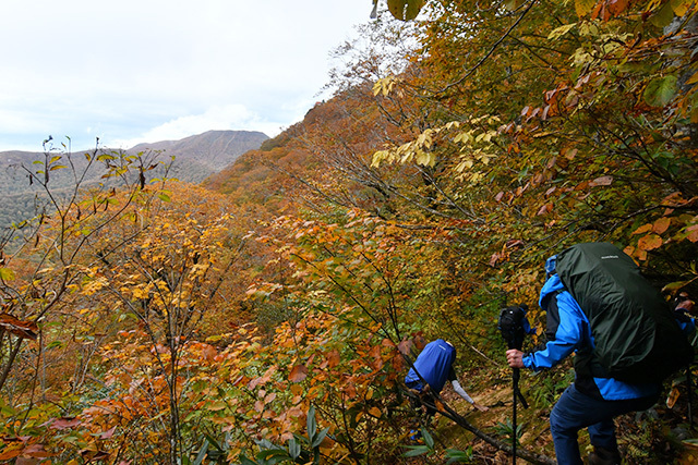 山形、宮城両県境にまたがる御所山（中央奥）を望みながら歩みを進める登山隊