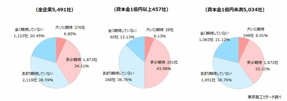 「あまり期待していない」38.5％、「多少期待する」34.1％で拮抗