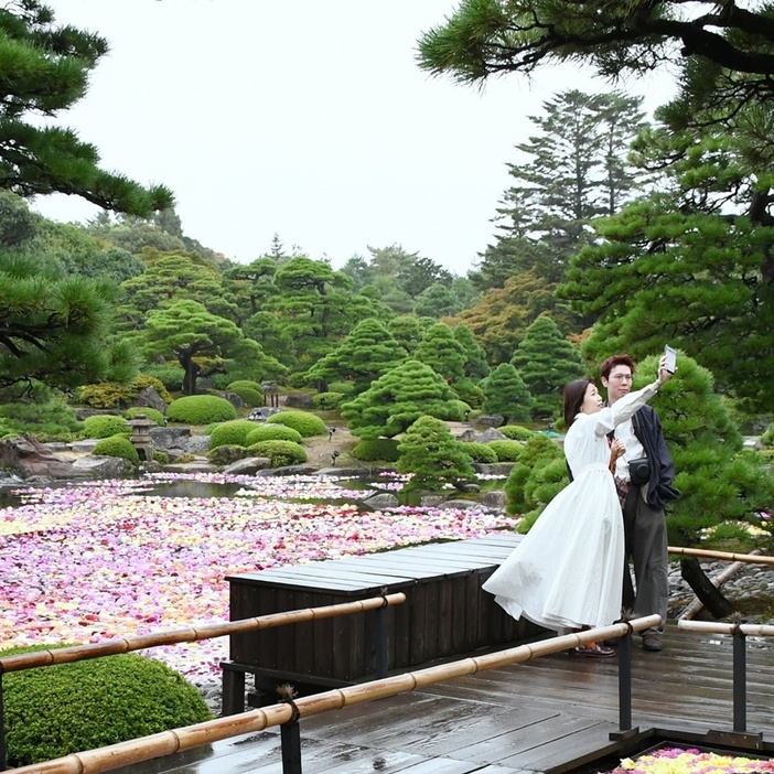 カラフルなダリアと一緒に撮影する観光客＝松江市八束町波入、由志園