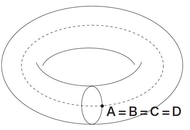 図5:トーラス