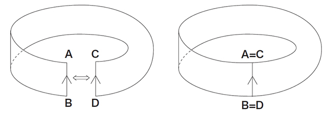 図9:メビウスの帯(輪)(図版:長澤貴之)