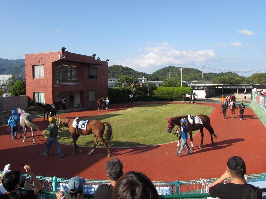 右回りのパドック。右奥の装鞍所から人馬が入場してくる