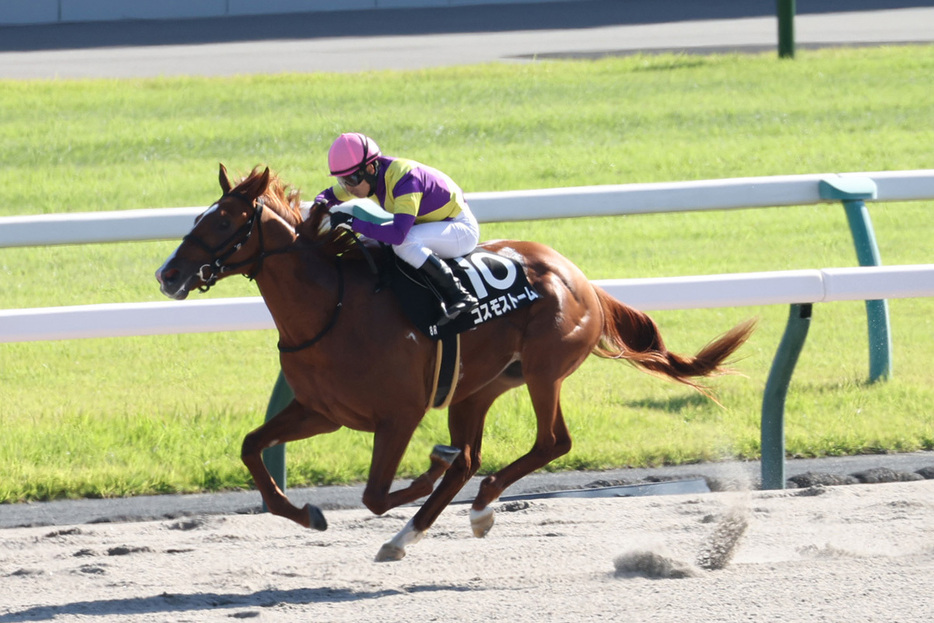 伏兵コスモストームが２馬身差で快勝した