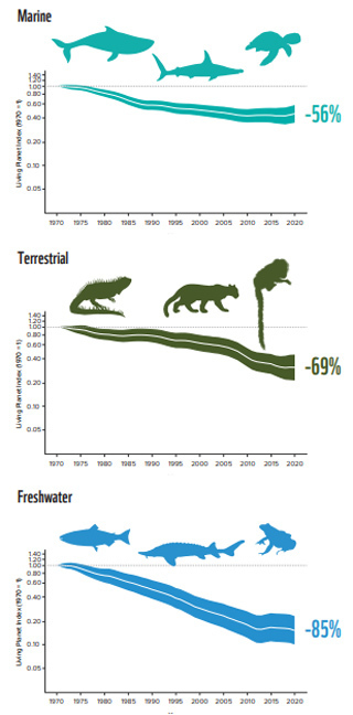 生息環境別LPIの減少率を示すグラフ。上から海域、陸域、淡水域（WWF提供）