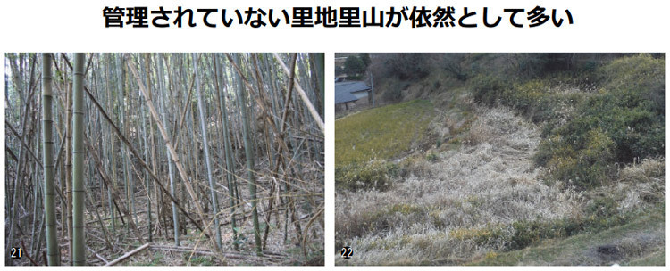 管理放棄された竹林（左）や農地（右）（撮影：石原八束氏）（環境省／日本自然保護協会提供）