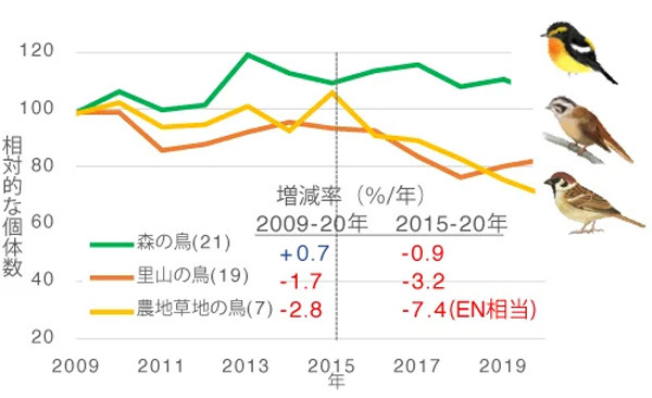 鳥類の中でも「里山の鳥」「農地草地の鳥」の個体数が減っていることを示すグラフ（環境省／日本自然保護協会提供）