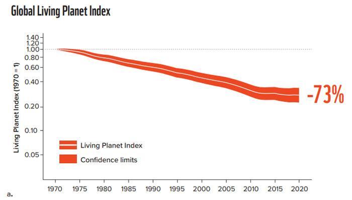 「生きている地球指数（LPI）」が1970年比で2020年に73％減ったことを示すグラフ（WWF提供）