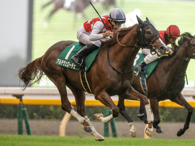 サウジアラビアRCを制したアルテヴェローチェ(撮影：下野雄規)