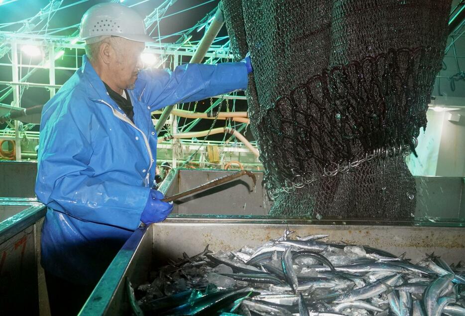 北海道根室市の花咲港で水揚げされたサンマ＝8月