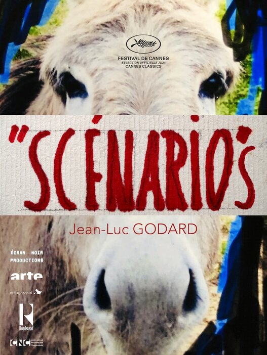 「Scénarios」ポスタービジュアル