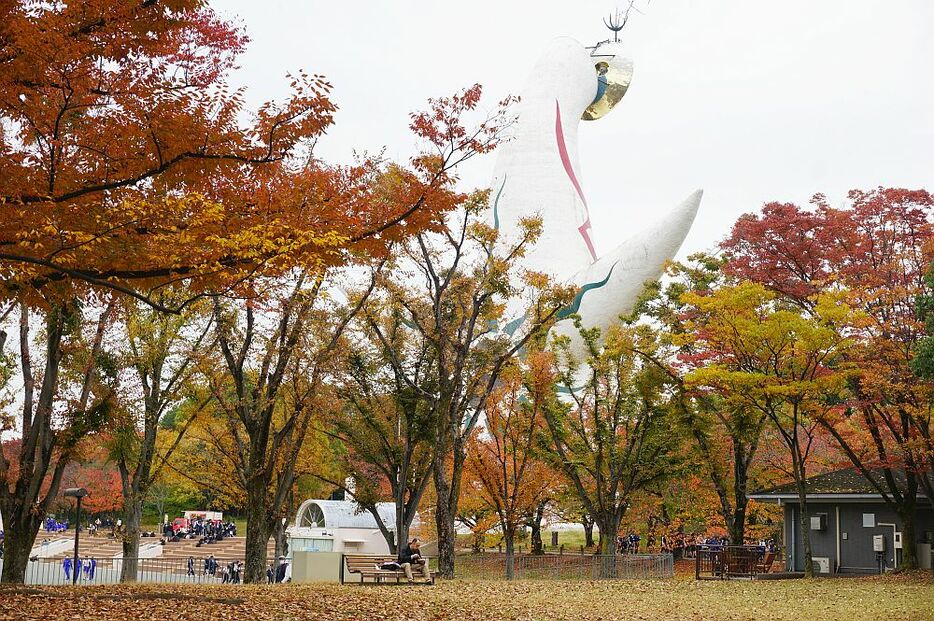 [写真]万博記念公園、太陽の塔周辺でも紅葉は見ごろを迎えていた＝13日午後1時ごろ、大阪府吹田市で