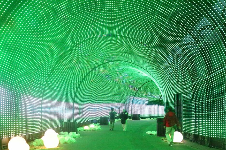 緑一色に輝くトンネル