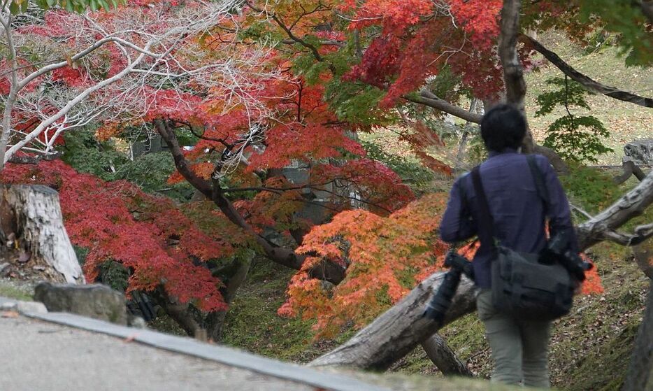 ベストショットを撮ろうと川のあたりへ撮影に向かう人の姿も