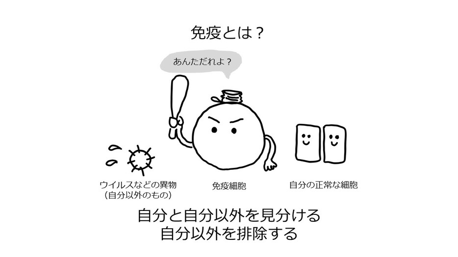 [図1]免疫とは？