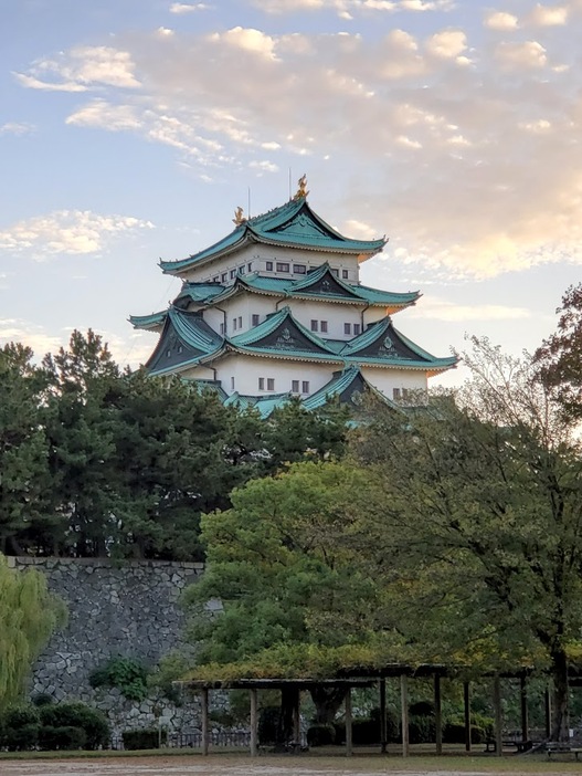 北側から見た名古屋城（写真：水野誠志朗）