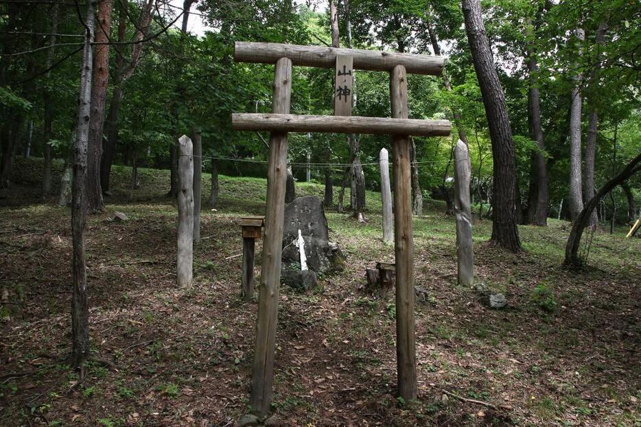 [写真]白樺湖近くの別荘地『白樺高原・緑の村』内にある「山の神」の御柱と鳥居。今回切り出した御柱と建て替える