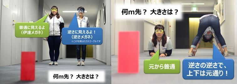 [写真2]（左）逆さメガネを使って視野の上下だけ条件を変えた実験（右）体の姿勢だけ条件を変えた実験
