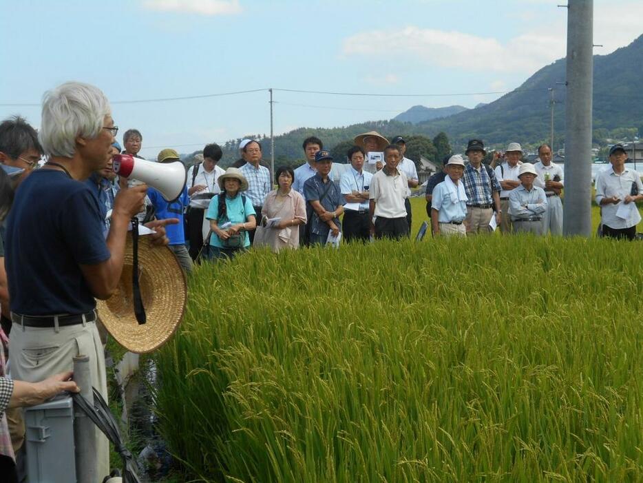 [写真]詰めかけた田んぼ発電の見学者