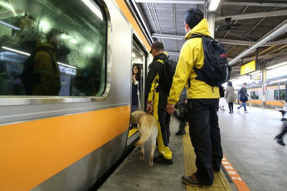 [写真]アイメイト協会の駅での歩行指導の様子。電車に乗り込む際も、ハーネスを左手で持ち、常に犬が線路側になるようにドアの左側から乗り込む