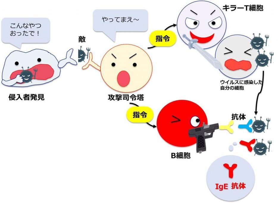 16年 生理学 医学賞 は誰の手に 日本科学未来館がノーベル賞予想 The Page Yahoo ニュース