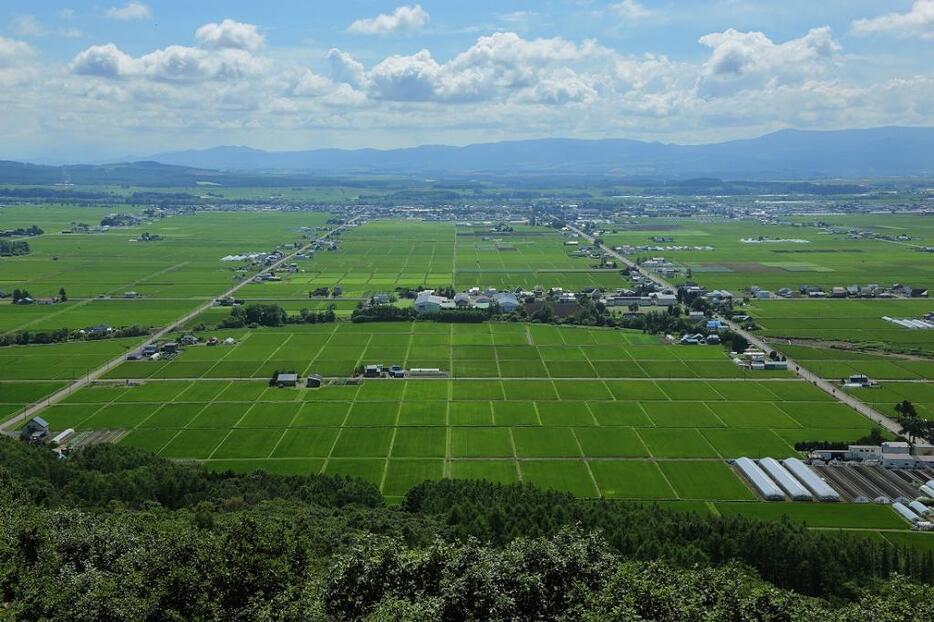 田園風景が広がる東川町　展望閣から（撮影：倉谷清文）