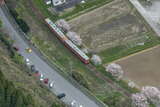 東総元駅を発車した列車はカーブを描いて久我原駅へと向かう。線路に沿って桜並木があり、撮影するファンの姿も見られた（2018年4月1日、吉永陽一撮影）。