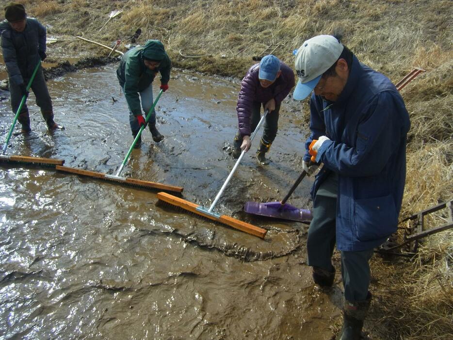 田んぼの除染作業。田んぼに水を入れ、田車で表面の土をかき混ぜた後、ブラシを使って流していく（写真提供：ふくしま再生の会）