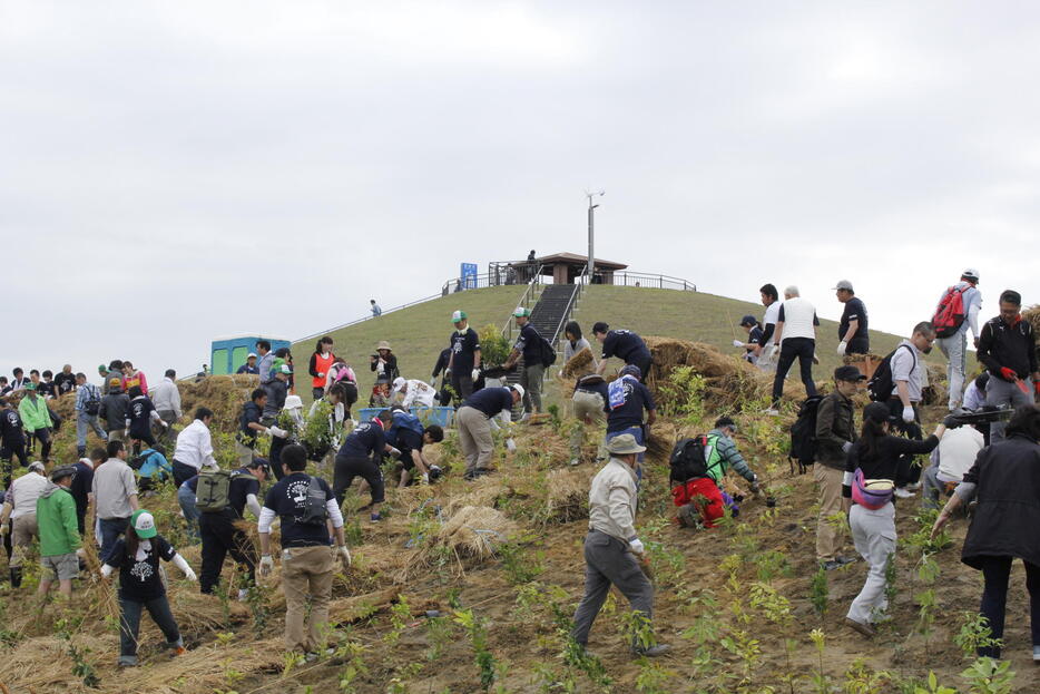 第5回植樹祭の様子（2017年5月　写真提供：岩沼市）