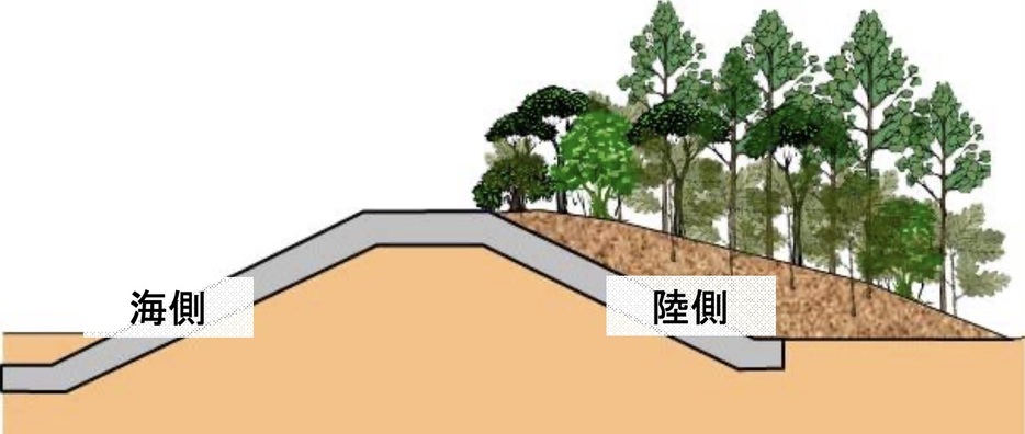 国交省の「緑の防潮堤」のイメージ図。（国交省資料から）