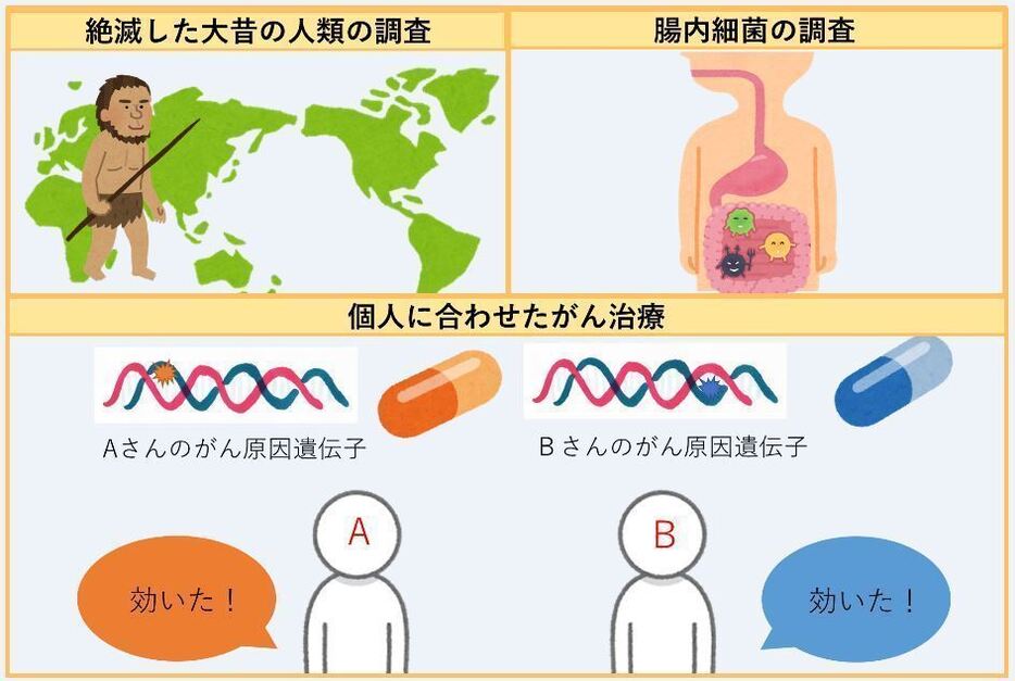 [図3]DNAは4種の塩基から構成されている（A，T，G，C）。DNA塩基配列を読むというのはこの塩基の並び順を調べるということ